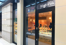 「ヨゴリーノ」店舗のご案内