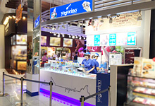 「ヨゴリーノ」店舗のご案内