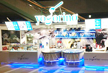 「ヨゴリーノ」店舗のご案内